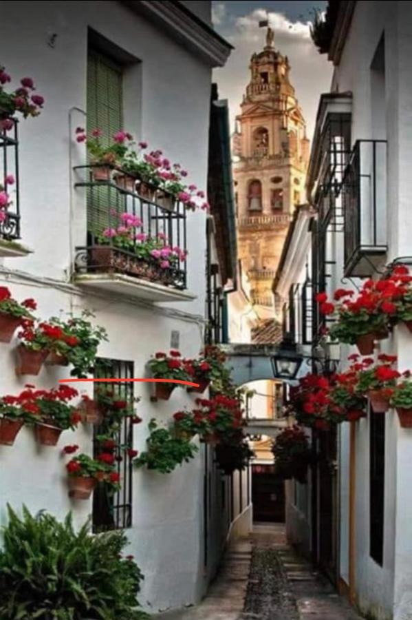 Casa Isa Appartement Córdoba Buitenkant foto